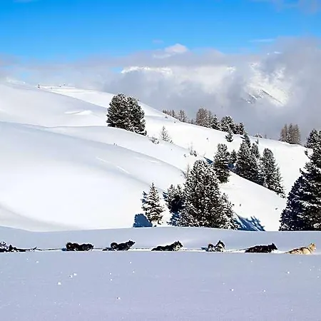 Bouquetin- Blaireau 14 To 18 People Hotel La Plagne
